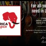 Business Card Africa Spice 150x150